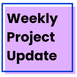 Weekly Project Update